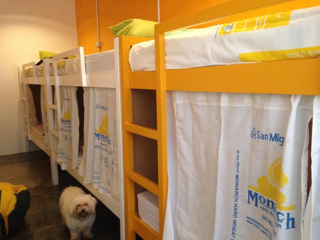 Moon Fools Hostel Panglao Room photo